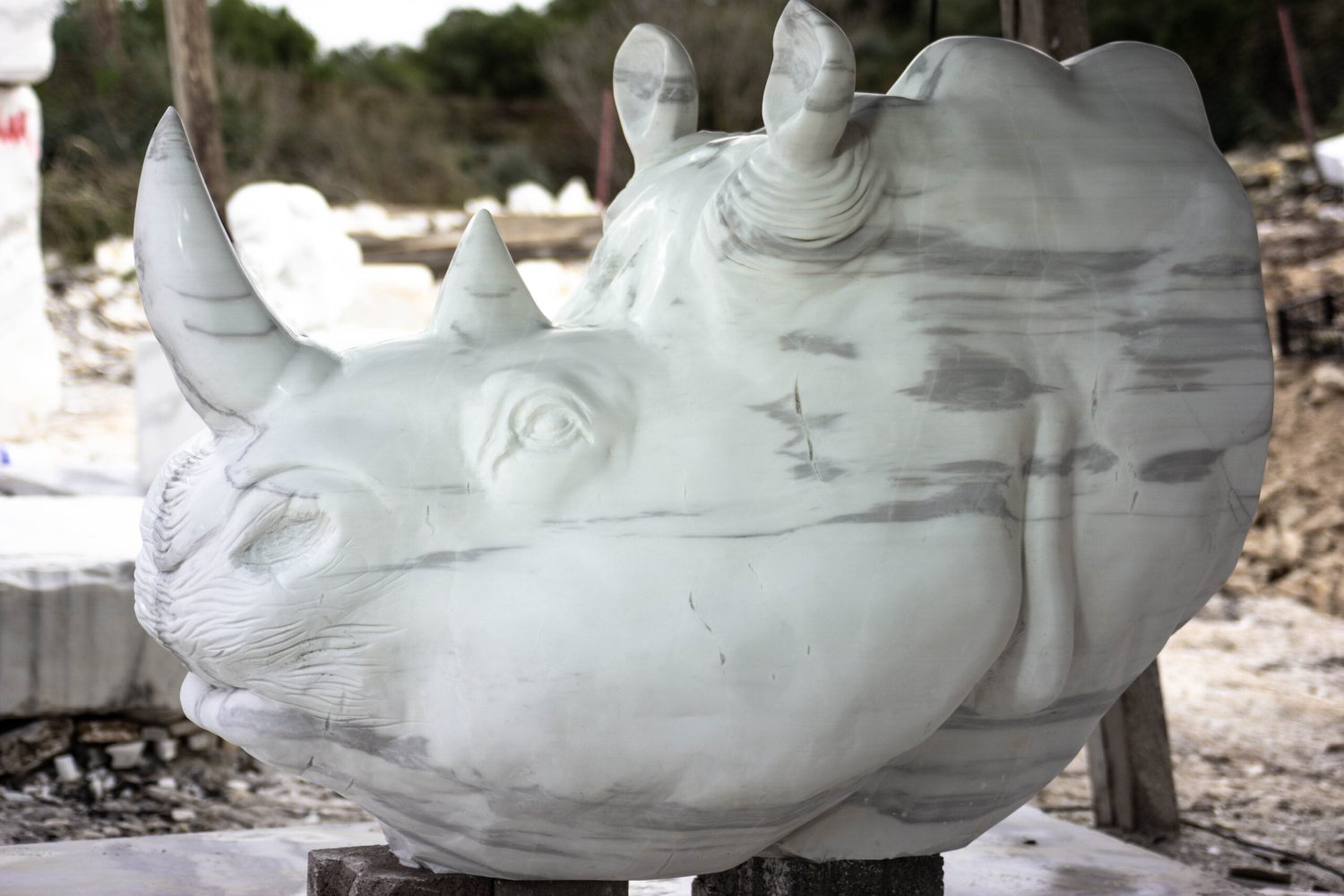 GÖKÇE BURLA YILDIZ